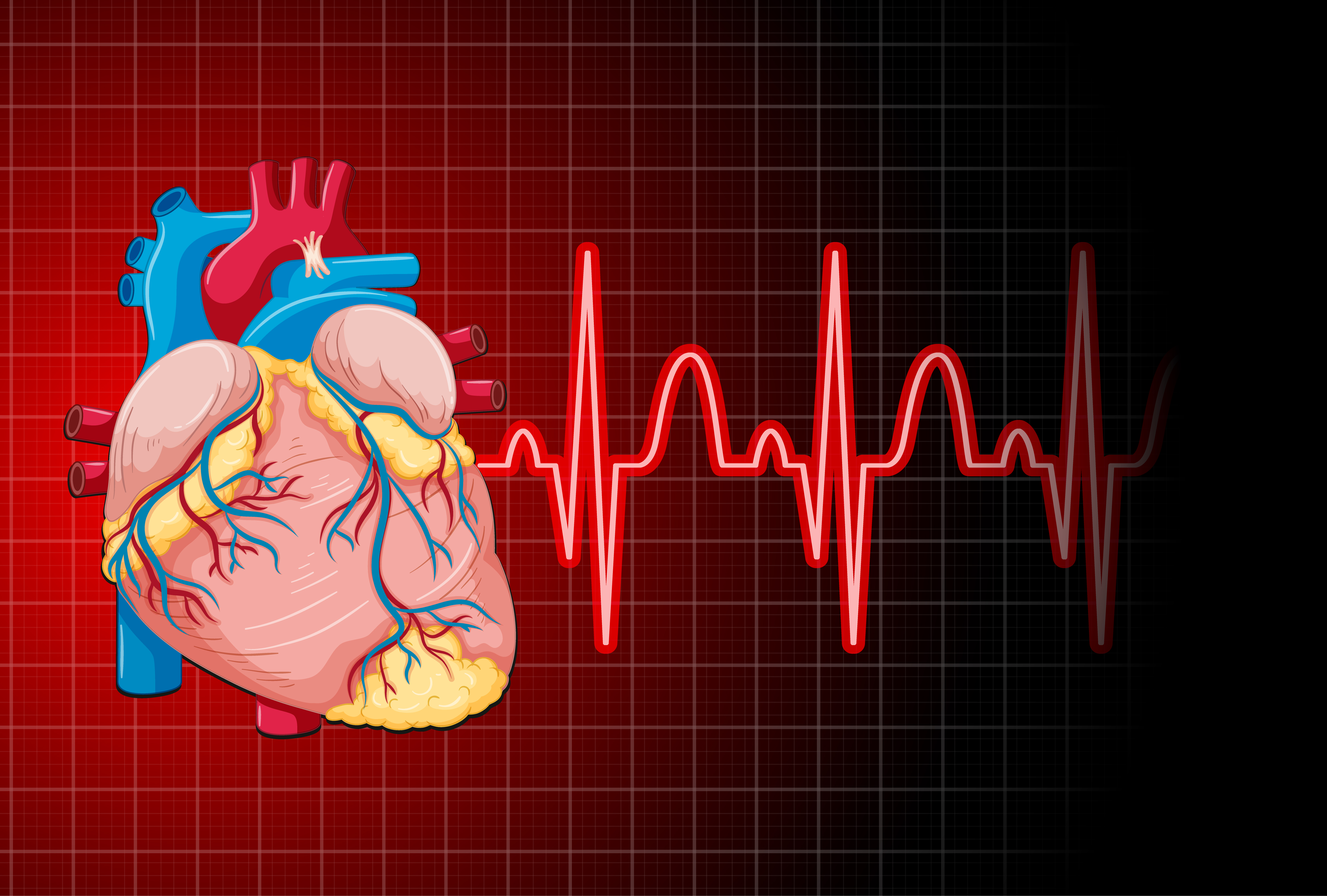 القلب والشرايين: أسباب، أعراض، علاج، طرق الوقاية